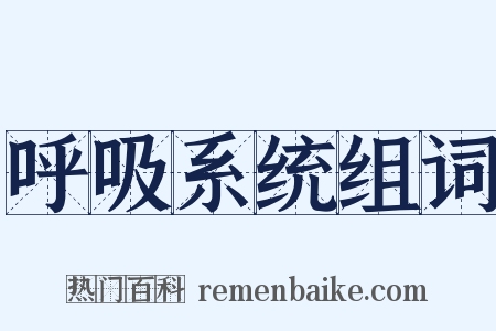 呼吸系统组词是什么意思的图片
